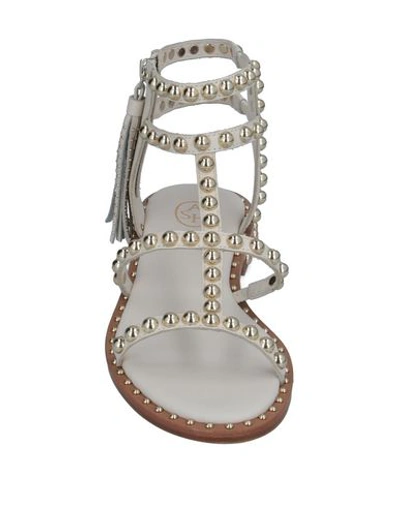 Shop Ash Sandals In Beige