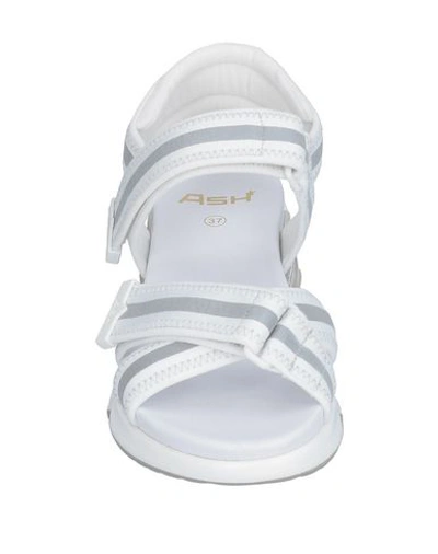 Shop Ash Sandals In White