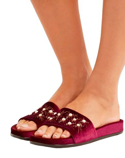 Shop Aquazzura Sandals In Maroon
