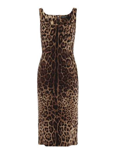 Shop Dolce & Gabbana Stretch Silk Leo Print Sleeveless Dress In Animal Print