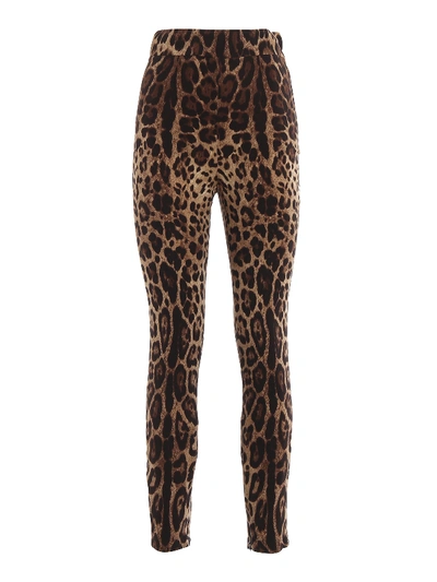 Shop Dolce & Gabbana Leo Print Stretch Silk High Rise Leggings In Animal Print