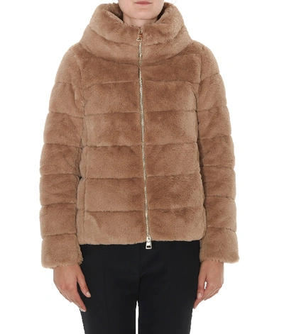 Shop Herno Eco Fur Down Jacket In Camel