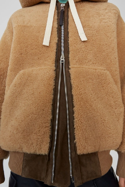 Shop Acne Studios Hooded Shearling Jacket Almond Beige