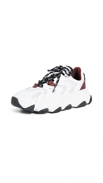 Shop Ash Extreme Sneakers In White/white/black/bordeaux