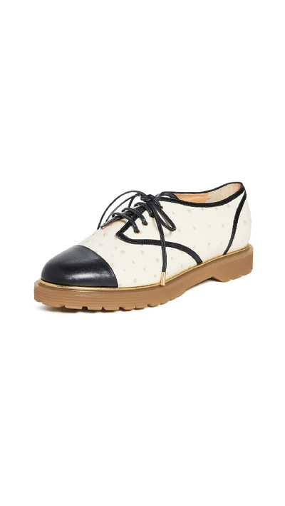 Shop Charlotte Olympia Derby Oxford In Off White/black