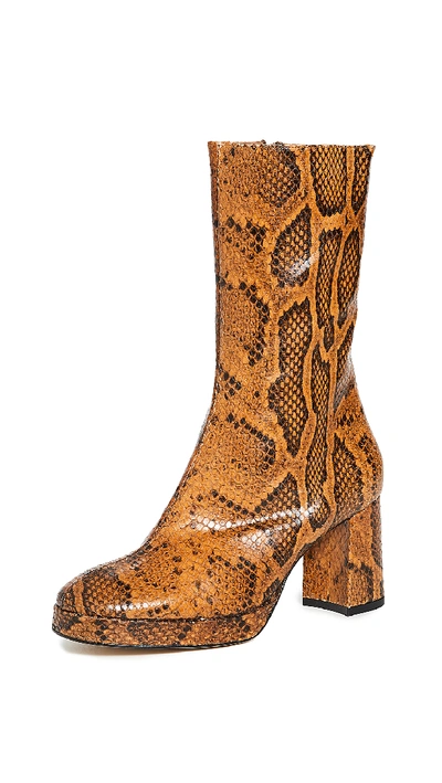 Shop Miista Carlota Boots In Citrine Snake