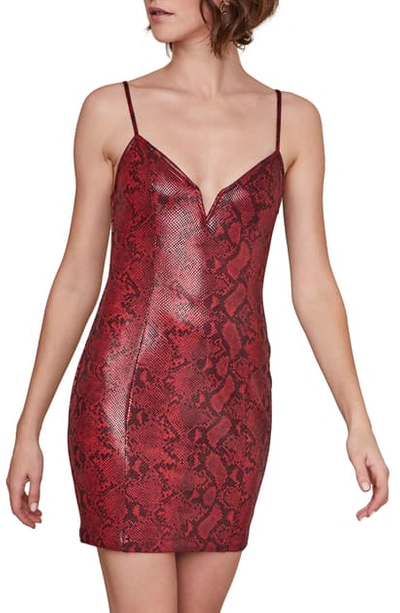 Shop Astr Come Slither Minidress In Ruby Python