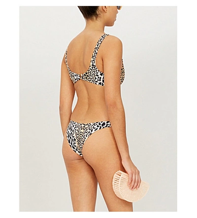 Shop Reina Olga Rocky Bikini Top In Leopardo