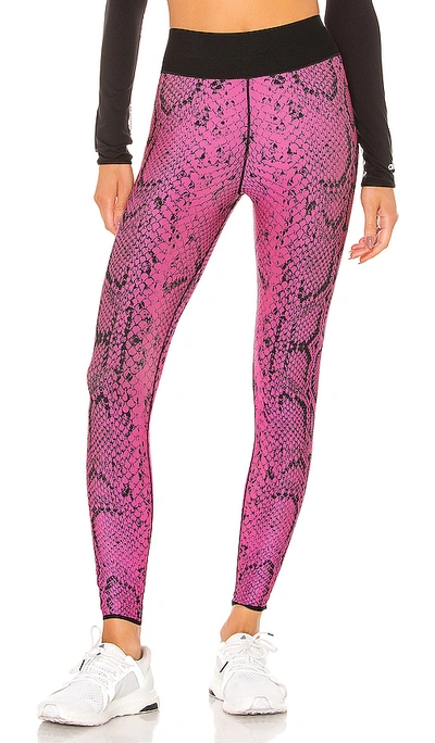Shop Ultracor Ultra High Python Legging In Neon Pink Patent Nero
