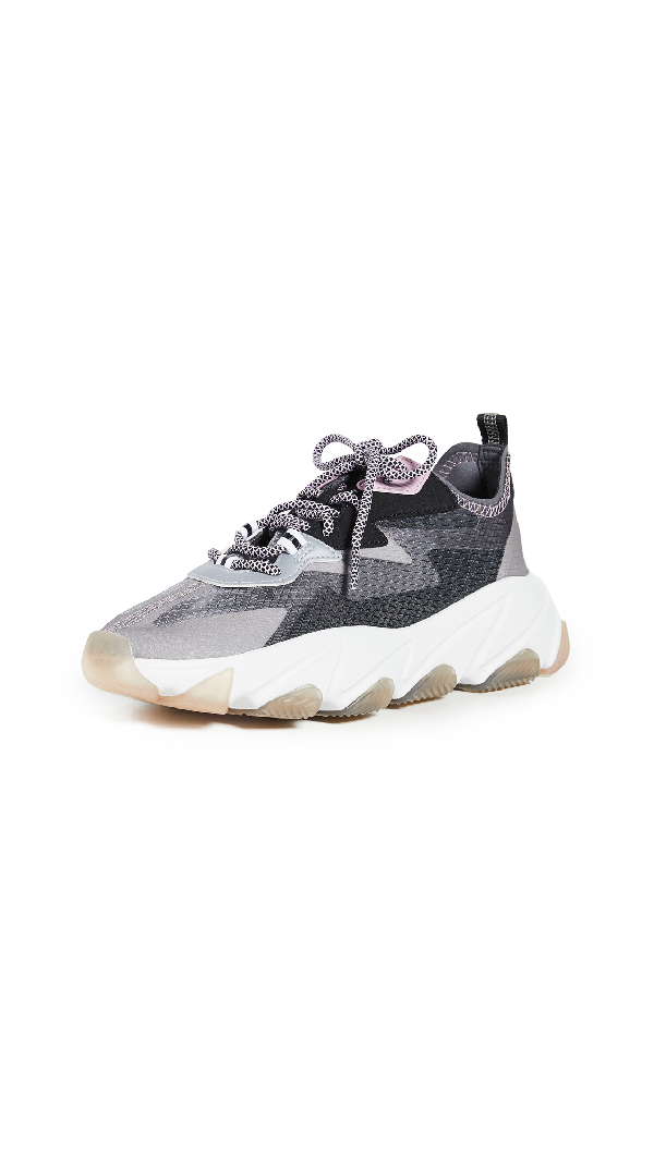 ash eclipse trainers