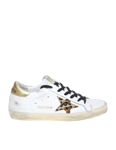 Shop Golden Goose Superstar Sneakers In White Color Leather