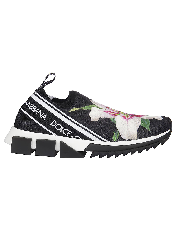 d&g sorrento sneakers