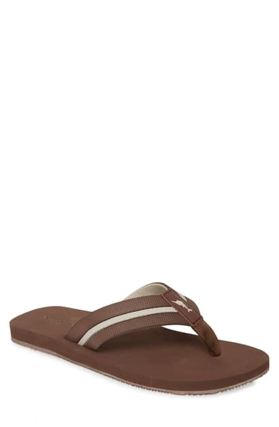 Shop Tommy Bahama 'taheeti' Flip Flop In Brown/ Tan