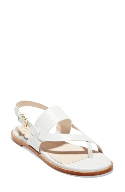 Shop Cole Haan Anica Sandal In Optic White Snake Leather