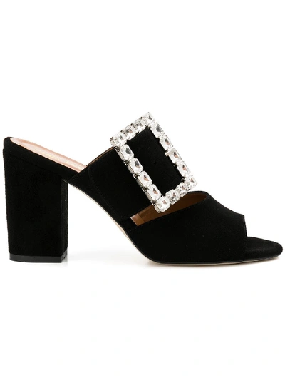 Shop Paris Texas Suede Sandals With Swarowski Buckle In Black