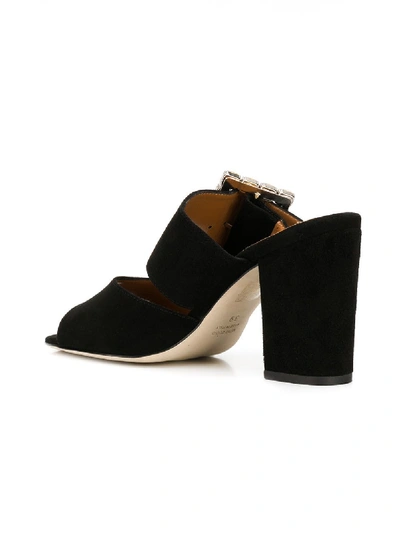 Shop Paris Texas Suede Sandals With Swarowski Buckle In Black