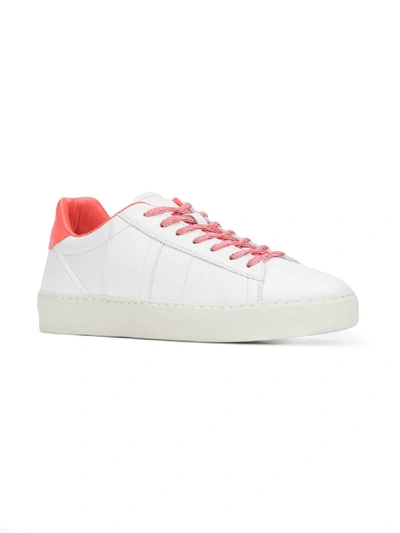 Shop Woolrich Court Low Sneakers In White