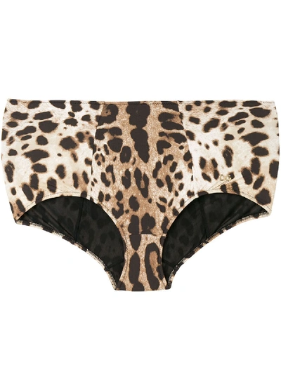 Shop Dolce & Gabbana Bikini Bottom In Animalier