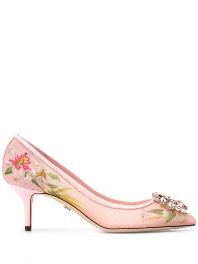 Shop Dolce & Gabbana Pumps In Pink