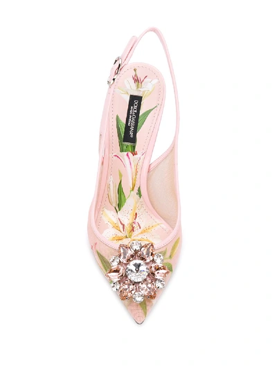 Shop Dolce & Gabbana Sandals In Pink