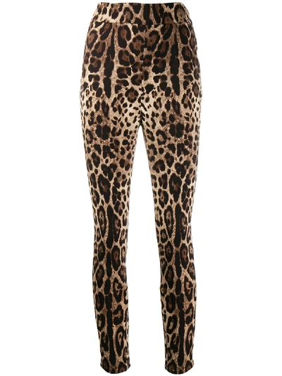 Shop Dolce & Gabbana Silk Leggings In Animalier