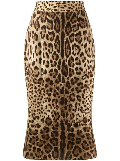 Shop Dolce & Gabbana Silk Skirt In Animalier