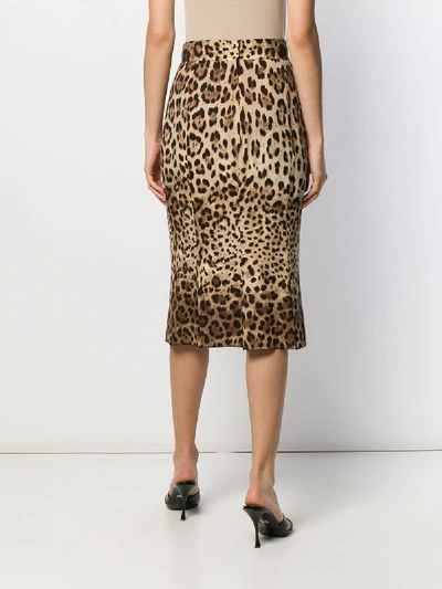 Shop Dolce & Gabbana Silk Skirt In Animalier