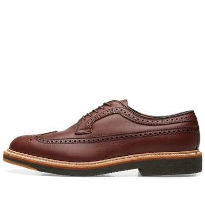 Shop Alden Shoe Company Alden Long Wing Blucher In Brown