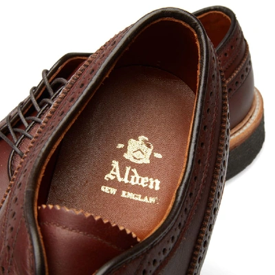 Shop Alden Shoe Company Alden Long Wing Blucher In Brown