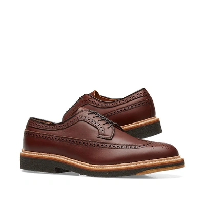 Shop Alden Shoe Company Alden Long Wing Blucher In Brown