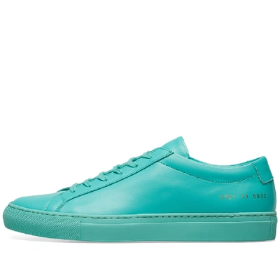 Shop Common Projects Woman By  Original Achilles Low In Green