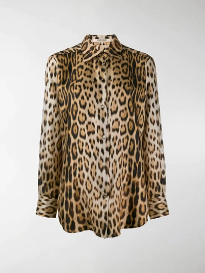 Shop Roberto Cavalli Leopard Print Shirt In Neutrals