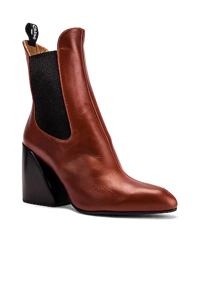 Shop Chloé Leather Ankle Booties In Brown