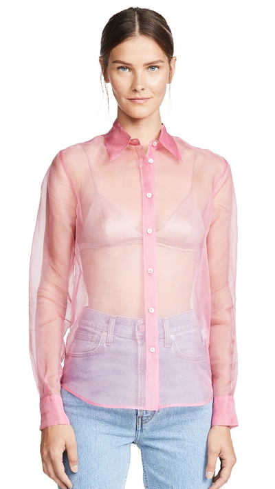 Shop Helmut Lang Organza Shirt In Pink