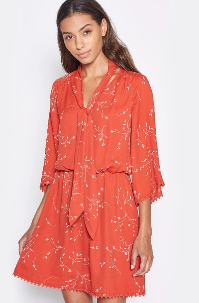 Shop Joie Dakoda Dress In Autumn