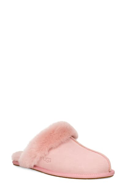 ugg pale pink scuffette slippers