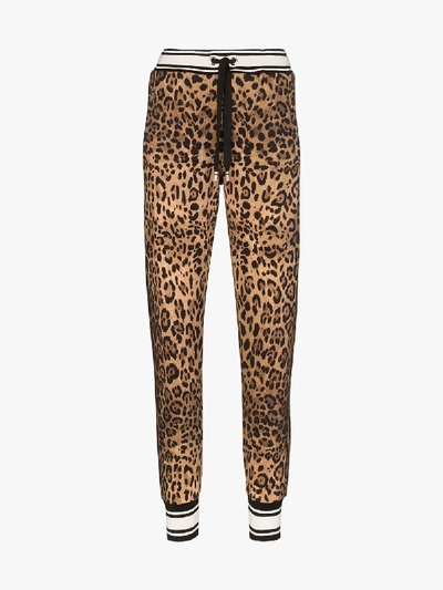Shop Dolce & Gabbana Leopard Print Cotton Sweatpants In Brown