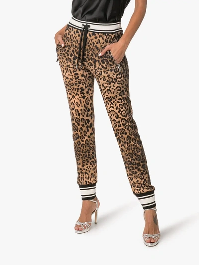 Shop Dolce & Gabbana Leopard Print Cotton Sweatpants In Brown
