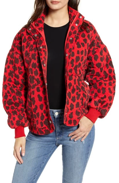 Shop Blanknyc Leopard Print Quilted Jacket In Fierce