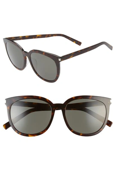 Shop Saint Laurent Slim 56mm Cat Eye Sunglasses - Shiny Dark Havana