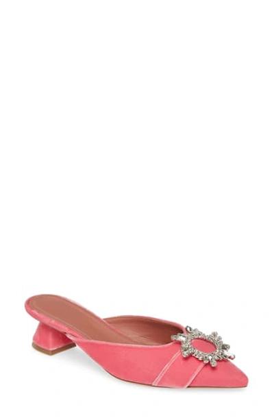 Shop Amina Muaddi Begum Brooch Mule In Pink Velvet