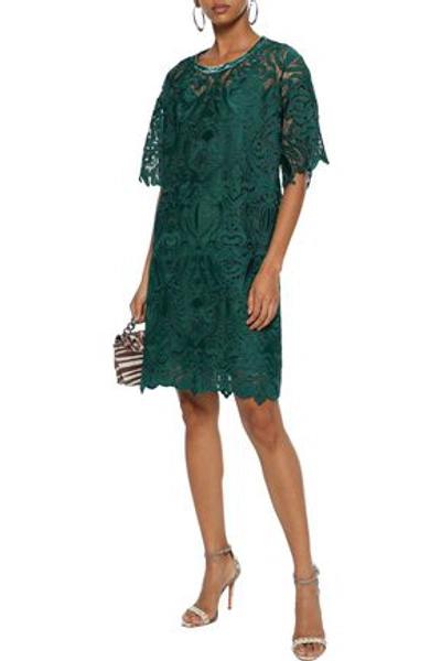 Shop Anna Sui Woman Velvet-trimmed Guipure Lace Dress Forest Green