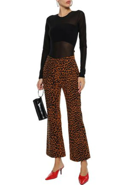 Shop Pushbutton Leopard-print Cotton Bootcut Pants In Animal Print