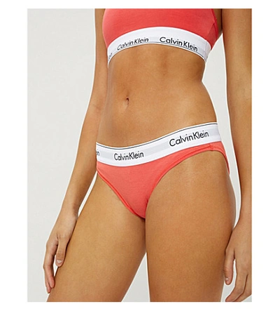 Shop Calvin Klein Modern Cotton Stretch-cotton Bikini Briefs In Lfx Fire Lily