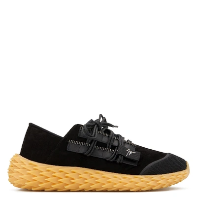 Shop Giuseppe Zanotti Urchin In Black