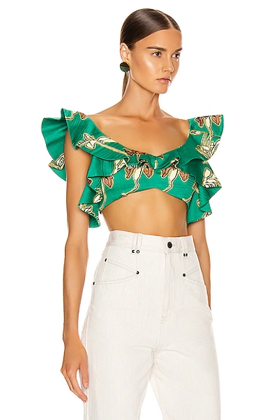 Shop Alexis Hoshi Top In Jade Green Orchid