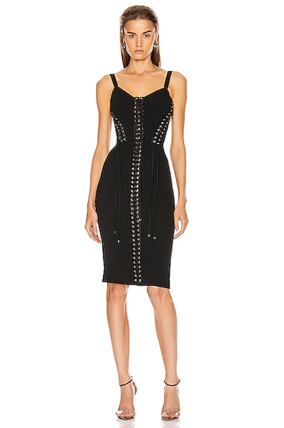 Shop Dolce & Gabbana Bodycon Dress In Black
