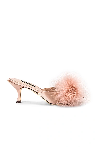 Shop Dolce & Gabbana Feather Mules In Nude