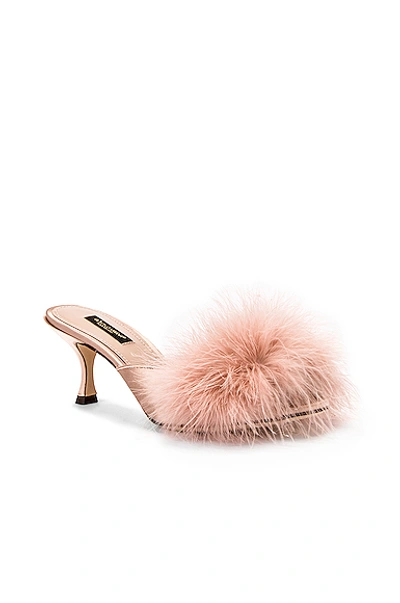 Shop Dolce & Gabbana Feather Mules In Nude