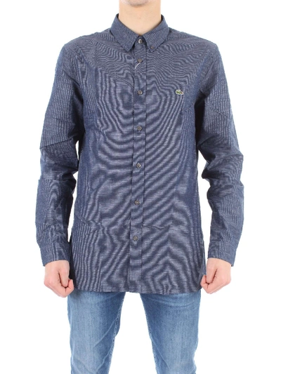 Shop Lacoste Blue Cotton Shirt